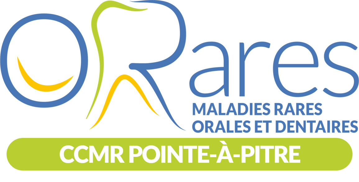 Logo CCMR Pointe a pitre